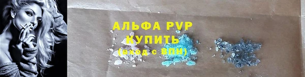 дмт Белокуриха