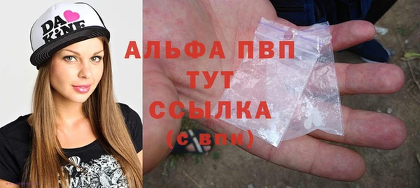 дмт Белокуриха