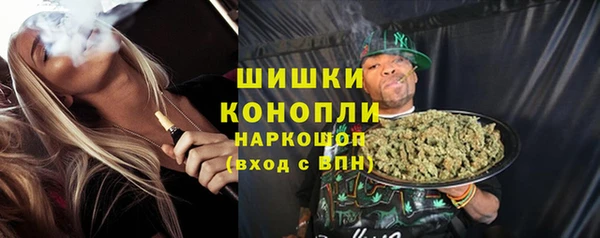 дмт Белокуриха