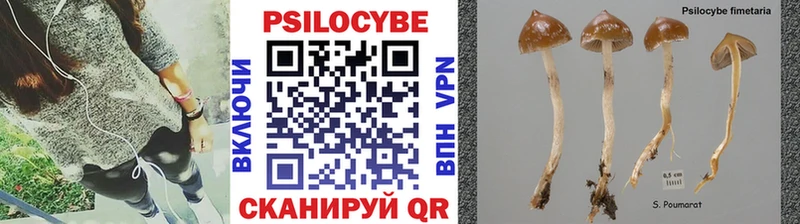 Галлюциногенные грибы ЛСД Салават